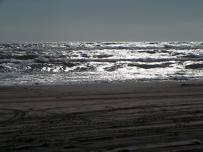 2004-08 Céline Camargue 004.JPG